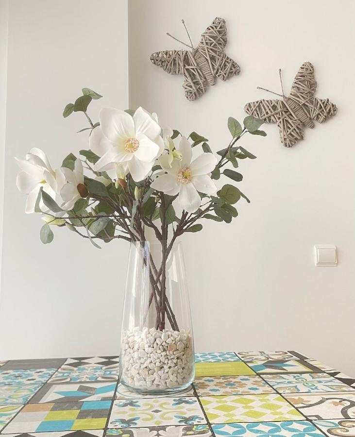 Apartamento Pinares Apartment Сория Екстериор снимка